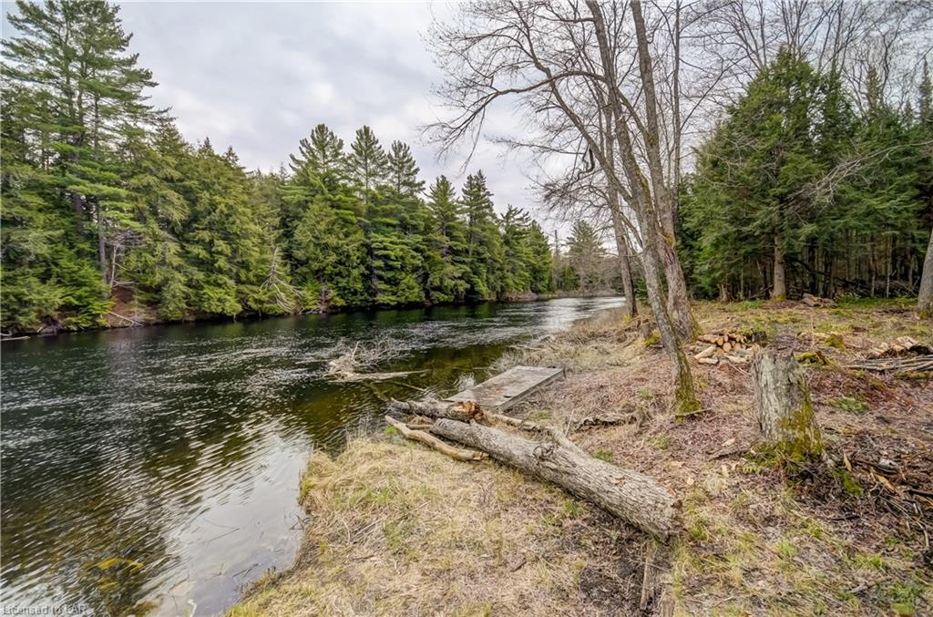 1443 Sherwood Forest Road